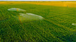 Aerial view on high pressure agricultural water sprinkler, sprayer, sending out jets of water to irrigate corn farm crops