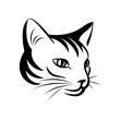Cat face, siamese cat, pet, animal mascot. Cat logo template. Vector illustration.	
