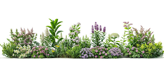 Wall Mural - plant and flower garden PNG transparent background 