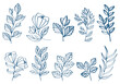 set de plantes et fleurs dans un style dessin plume simple détourés de couleur bleu