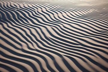 Wall Mural - mesmerizing patterns created by light and shadow on a beach