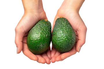 A pair of human hands firmly grasp two ripe green avocados. Isolated.