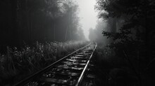 A Black And White Photo Of A Train Track In The Middle Of A Foggy Forest With Lots Of Trees.