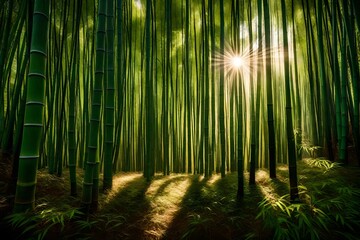 Poster - Sunlight streaming through the leaves of a dense bamboo forest, creating mesmerizing patterns on the ground.