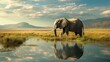 Cute adorable elephant animal on nature's soft lap. In its natural habitat. Generative AI