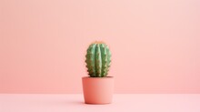 A Green Cactus In A Pink Pot On A Pink Surface With A Pink Wall In The Backgrounnd.