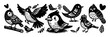 Bird flying tweet cute cartoon doodle set. Bird dove sparrow animal flight vector set
