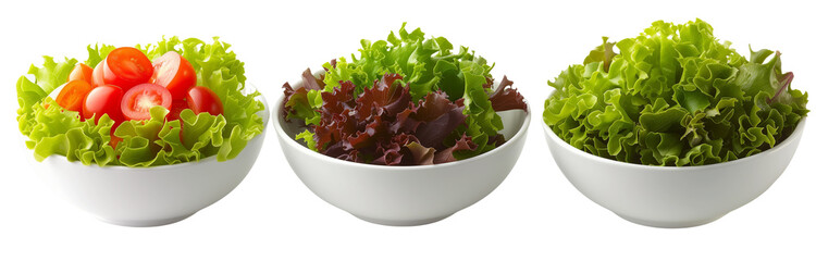 collection of bowl of fresh garden salad, isolated on a transparent background