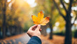 © Your Hand Please - Hand lets go of autumn leaf, symbolizing transition, change, and letting go. Emotionally evocative image of fall season