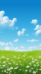 Wall Mural - Green field with white flowers under blue sky and white clouds