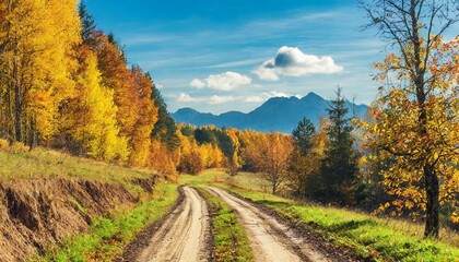 Poster - dirt road at autumn time