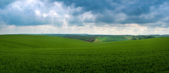 Wall Mural - Storm clouds over a wheat field. A picturesque hilly field and village landscape at horizon.