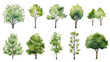 © Chelebi - Set of watercolor green tree isolated on white background for landscape and architecture drawing, elements for environment and garden, botanical for section in spring