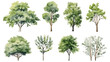 © Chelebi - Set of watercolor green tree isolated on white background for landscape and architecture drawing, elements for environment and garden, botanical for section in spring