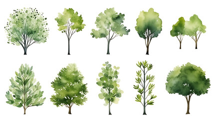 set of watercolor green tree isolated on white background for landscape and architecture drawing, el