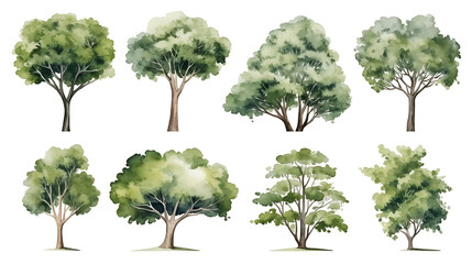 set of watercolor green tree isolated on white background for landscape and architecture drawing, el