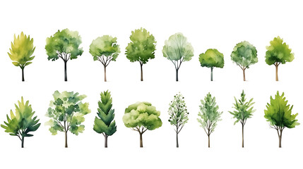Set of watercolor green tree isolated on white background for landscape and architecture drawing, elements for environment and garden, botanical for section in spring