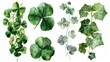 A collection of vibrant watercolor illustrations showcasing various green leaves. Perfect for adding a touch of nature to any project or design