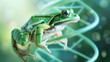 green frog on spiral structure