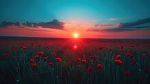 A Field Full Of Red Flowers With The Sun Setting In The Middle Of The Sky In The Middle Of The Day.