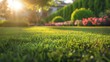 beautiful backyard with a lawn and beautiful flowers in a majestic sunset in high resolution
