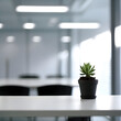 potted flower on the background of white office, minimalism, office everyday life