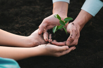 Wall Mural - Businessman grow and nurture plant on fertilized soil with young boy as eco company committed to corporate social responsible, reduce CO2 emission and embrace ESG principle for sustainable future.Gyre