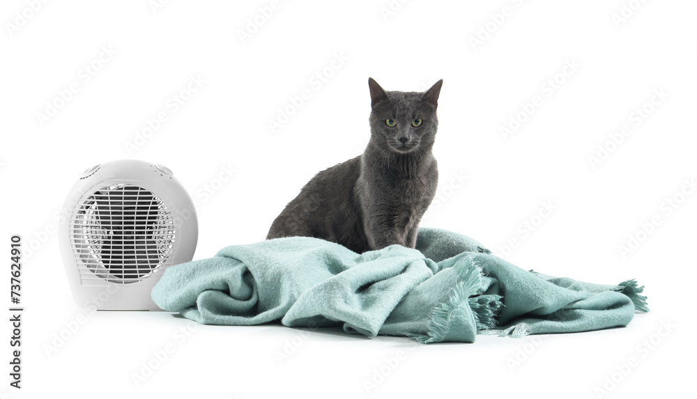 Cute cat with plaid and electric fan heater on white background