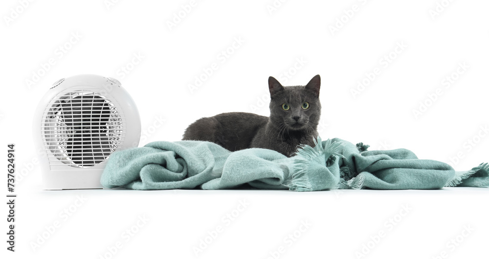 Cute cat with plaid and electric fan heater on white background