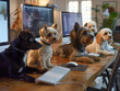 A computer lab run by dogs with each station manned by a different breed coding the next big app for pets