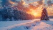 Snowy fir tree in beauty nature scenery, Winter landscape with pine forest covered with snow at sunset. Generative AI.
