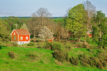 Poster - Red cottage in a rolling landscape in spring