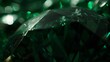 Luxurious dark diamond in green tones. Closeup of precious transparent crystal. Brilliant diamond facets