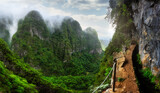 Fototapeta Most - Panoramic views of green jungle mountains in Madeira, Portugal