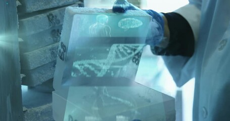 Poster - Animation of data processing over caucasian male scientist in laboratory