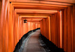 canvas print picture - Fushimi Inari-taisha Gate(Fushimiinari-taisha) to heaven, Kyoto, Japan