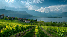 Medium Shot Photography, Spring Scenery At Lake Geneva, With Verdant Vineyards As The Background, During Grapevine Flowering