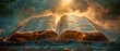 © tongpatong - open bible in a calm setting with the sun shining