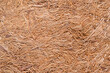 Background and texture with vegetable fibers.