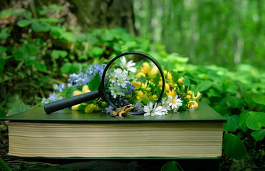 Sticker - flowers, magnifying glass, book and little frog in forest, nature background. science of wild nature, education, reading, literature, ecology, botanical and animal study concept