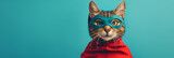 Fototapeta Na drzwi - Brave cat wearing superhero cape and mask on solid background.