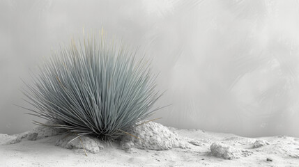 Poster - Texture of a lone cactus plant gracefully moving in the drifting sands.