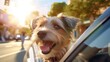 Head of happy lap dog looking out of car window. Curious terrier enjoying road trip on sunny summer day. generate AI