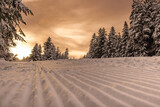Fototapeta Fototapety do pokoju - Kamianna-Ski zimą. Zimowy krajobraz.