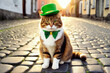 Fluffy cat wearing leprechaun green hat sitting on cobblestone street of Irish town. St. Patrick's day concept.