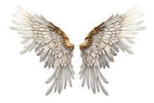 Two White And Gold Wings. A Photo Of Two White And Gold Wings Placed Against A Plain Transparent Background, Creating A Striking Contrast.