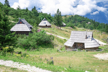 authentic slovenian wooden huts in a green alpine valley for seasonal horned cattle grazing