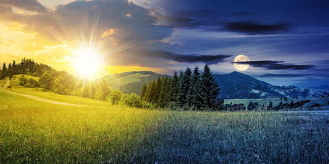 Wall Mural - coniferous trees on a hill near the path through the meadow in mountains with sun and moon on summer
