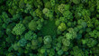 © oldwar - Aerial top down view of a green forest with human fingerprint in the middle , deforestation and human impact on nature biodiversity concept illustration