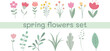 Set of flowers and leaves for spring designs. Floristry collection on white background.